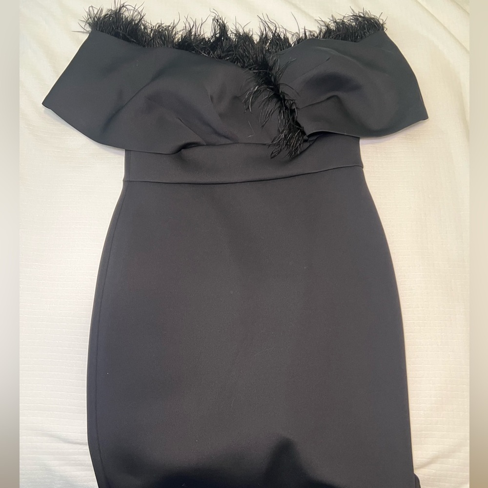 DaVinci Black Feathered Garment